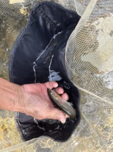 試し釣り結果です